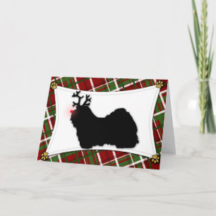 Havanese Ren-Weihnachtskarte Feiertagskarte