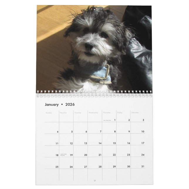 Havanese Rettungs-Kalender Kalender (Jan 2026)