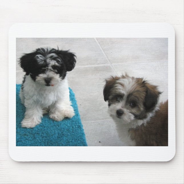 Havanese Rettungs-Welpen-Schwarz-weißes Grau Mousepad (Vorne)