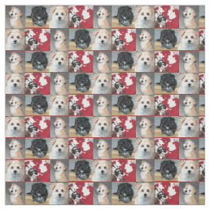 Havanese Rettungs-Welpen Stoff