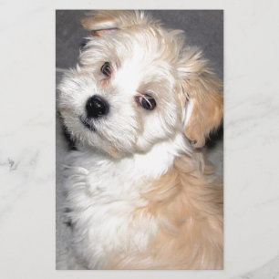 Havanese Rettungswelpe Tanweiß Briefpapier