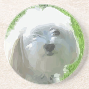 Havanese Sandstein Untersetzer