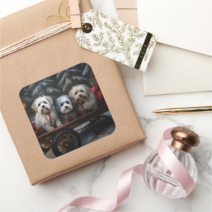 Havanese Schneeschlitten Weihnachtsdekoration Quadratischer Aufkleber