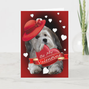 Havanese sein meine Valentinenkarte Feiertagskarte