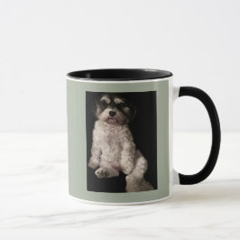 Havanese-setzen Sie das Bild Ihr Hundes hier Tasse