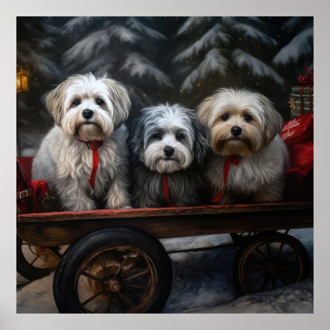 Havanese Snowy Sleigh Weihnachtsdekor Poster (Vorne)