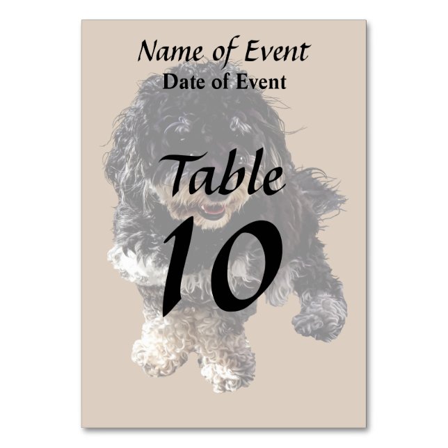 Havanese Tischnummer (Rückseite)