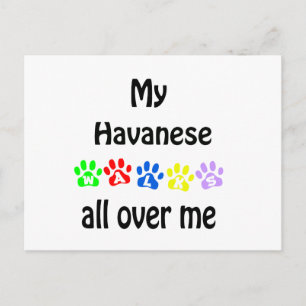 Havanese Walks Design Postkarte