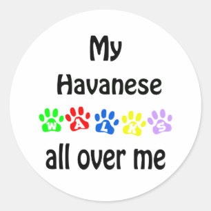 Havanese Walks Design Runder Aufkleber