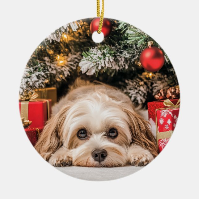 Havanese Weihnachten Keramik Ornament (Vorne)