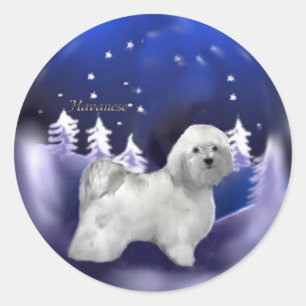 Havanese Weihnachtsgeschenke Runder Aufkleber