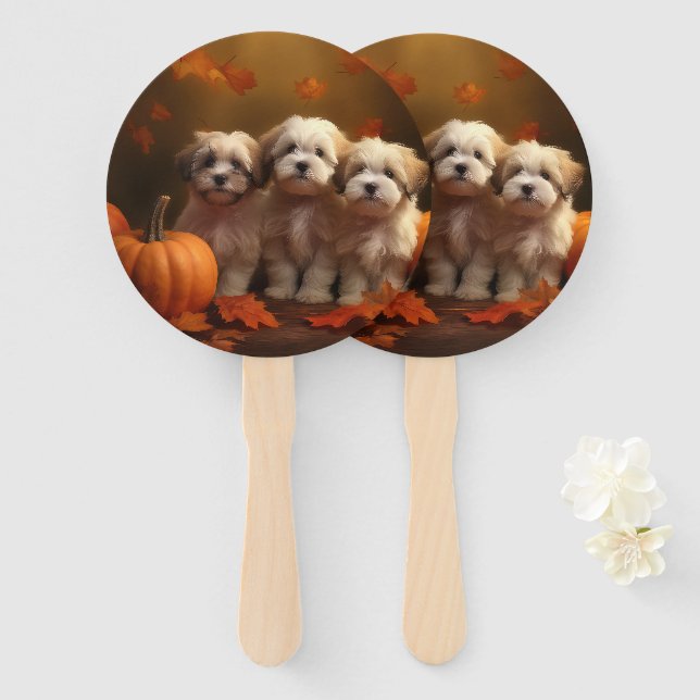 Havanese Welpe Autumn Delight Pumpkin Fächer (Vorne und Hinten)