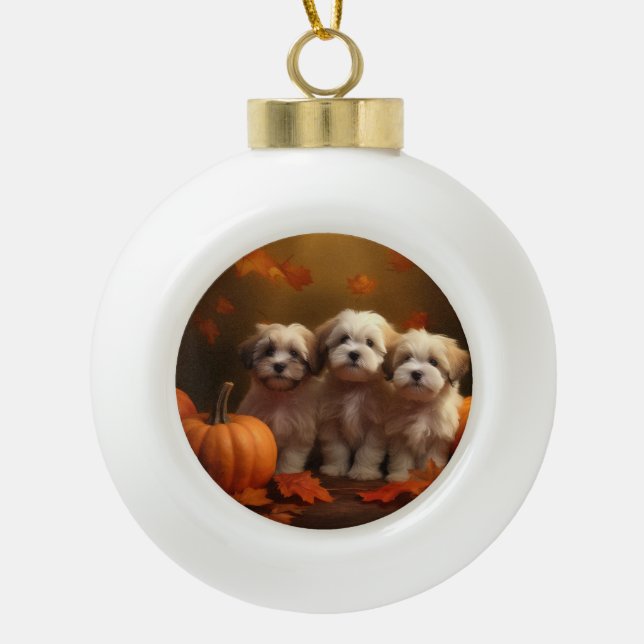 Havanese Welpe Autumn Delight Pumpkin Keramik Kugel-Ornament (Vorderseite)