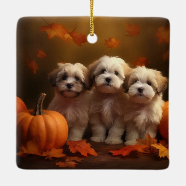 Havanese Welpe Autumn Delight Pumpkin Keramikornament (Rückseite)