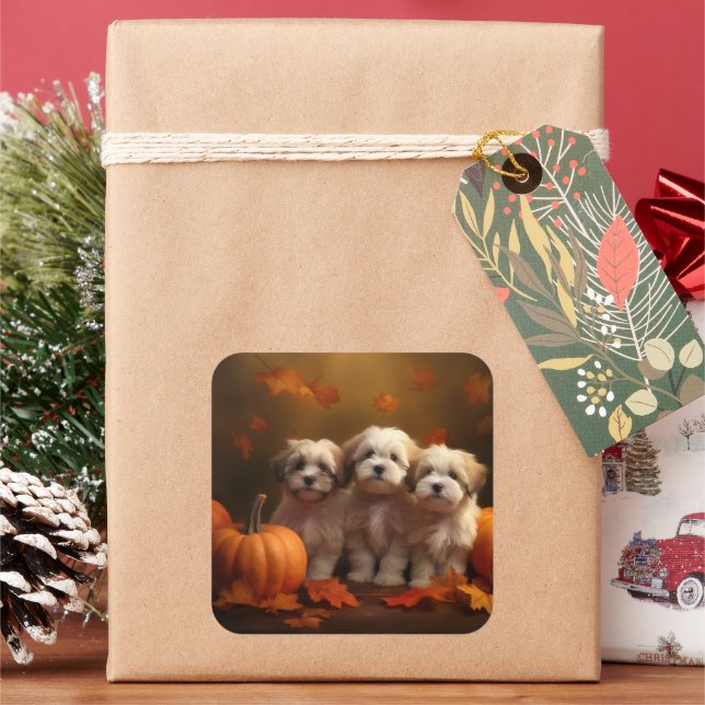 Havanese Welpe Autumn Delight Pumpkin Quadratischer Aufkleber (Feiertag)