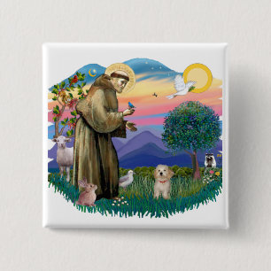 Havanese-Welpe Button