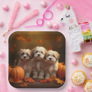 Havanese Welpe Herbstfreude Kürbis Pappteller