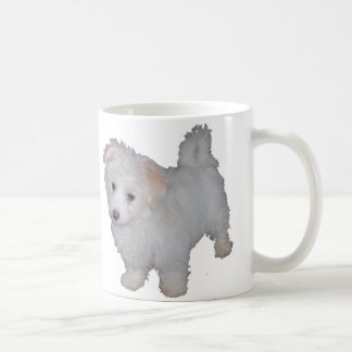 Havanese Welpe Kaffeetasse