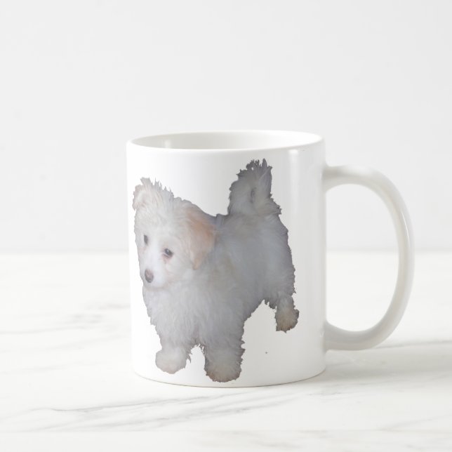 Havanese Welpe Kaffeetasse (Rechts)