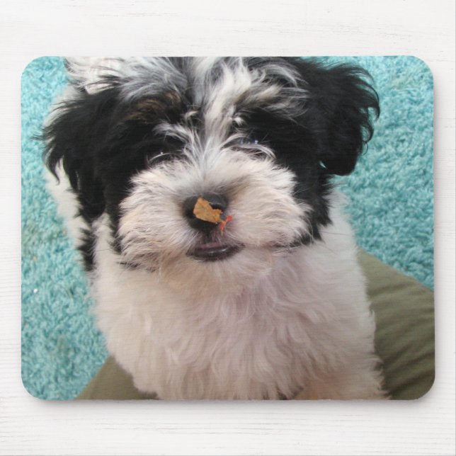 Havanese Welpe Mousepad (Vorne)