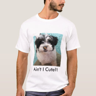 Havanese Welpe T-Shirt
