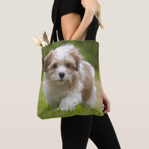 Havanese Welpe Tasche