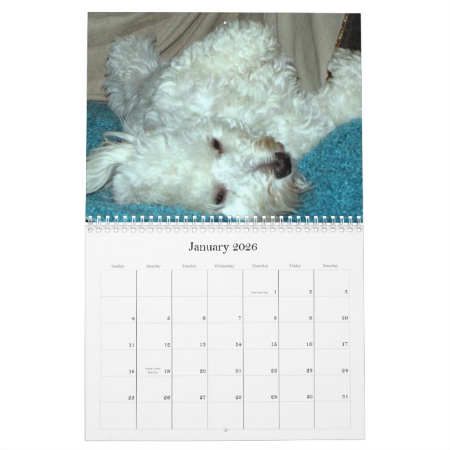 Havanese Welpen-Rettungs-Kalender 2012 Kalender (Jan 2026)