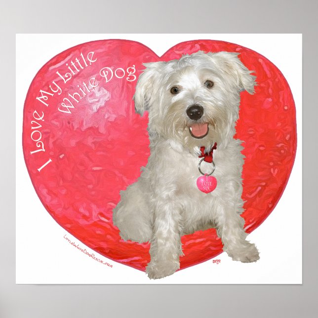 Havanese/Westie Mix Valentinstag Poster (Vorne)