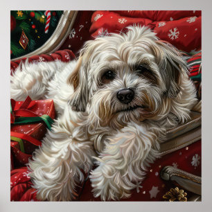 Havaneser Hund Weihnachtsfestlich Poster