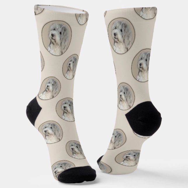Havanesische Welpe, Havanese, Kubanisch-Bichon, Bi Socken (Gewinkelt)