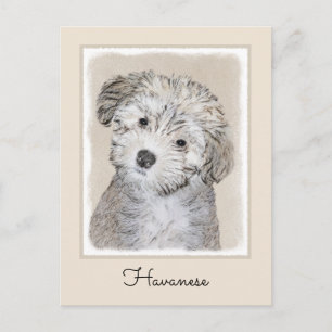 Havanesische Welpenmalerei - Niedliche Original Hu Postkarte