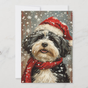 Havanischer Hund Weihnachten
