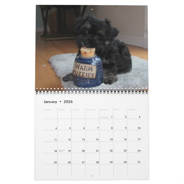 Havanna Rescue Puppies Kalender 2012 (Jan 2026)