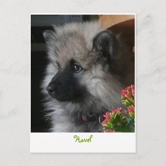 Havel Ankunft in Amerika Postkarte