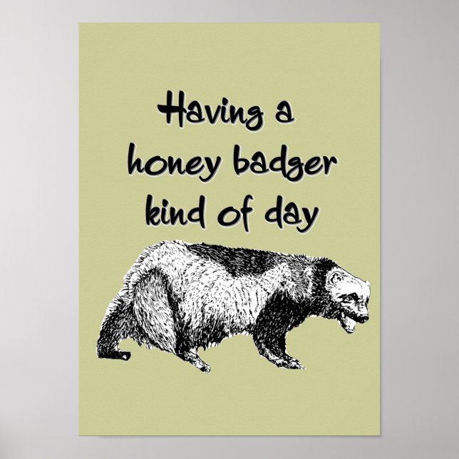 Having a honey badger kind of day poster (Vorne)