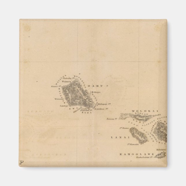 Hawaii 3 magnet (Vorne)