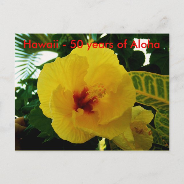 Hawaii 50. Staat Statehood Postkarte (Vorderseite)