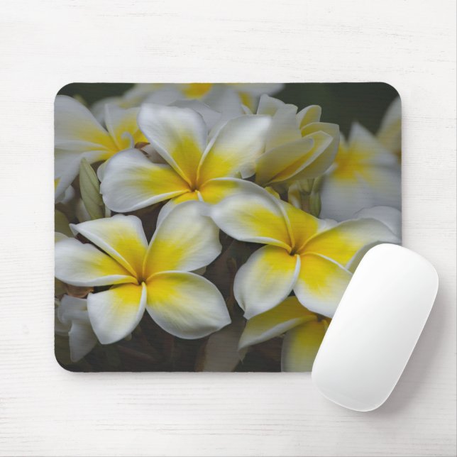 Hawaii Beauty: Die faszinierende Plumeria-Fotograf Mousepad (Mit Mouse)