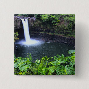 Hawaii, Big Island, Hilo, Rainbow Falls, Lush Button