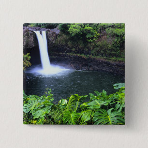 Hawaii, Big Island, Hilo, Rainbow Falls, Lush Button