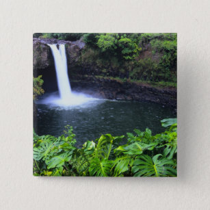 Hawaii, Big Island, Hilo, Rainbow Falls, Lush Button