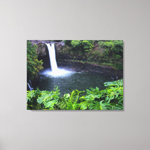 Hawaii, Big Island, Hilo, Rainbow Falls, Üppig Leinwanddruck