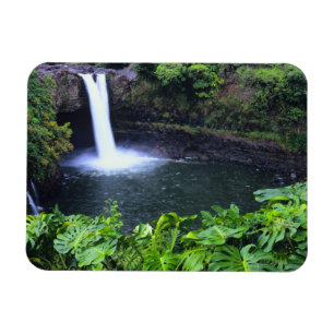 Hawaii, Big Island, Hilo, Rainbow Falls, Üppig Magnet
