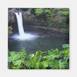 Hawaii, Big Island, Hilo, Rainbow Falls, Üppig Magnet