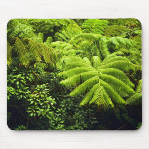 Hawaii, Big Island, Üppige tropische Vegetation in Mousepad