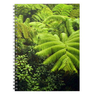 Hawaii, Big Island, Üppige tropische Vegetation in Notizblock