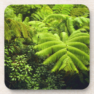Hawaii, Big Island, Üppige tropische Vegetation in Untersetzer