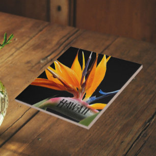 Hawaii Bird of Paradise Pflanze Blume Fliese