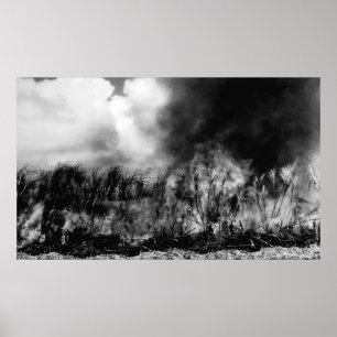 Hawaii - Blick auf das Zuckerrohrfeld auf dem Feue Poster