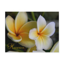Hawaii-Blume